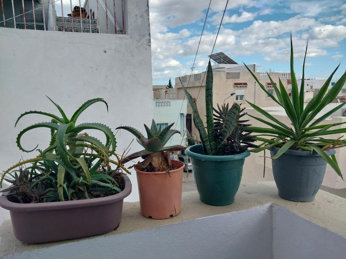 Silverwood Tunis Zewnętrze zdjęcie